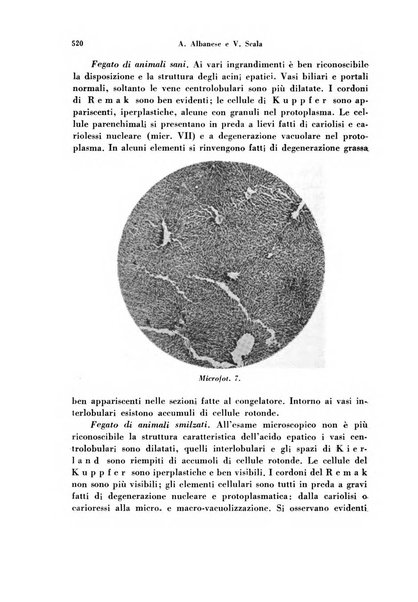 Archivio di ostetricia e ginecologia