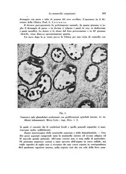 Archivio di ostetricia e ginecologia