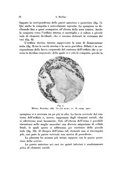 Archivio di ostetricia e ginecologia