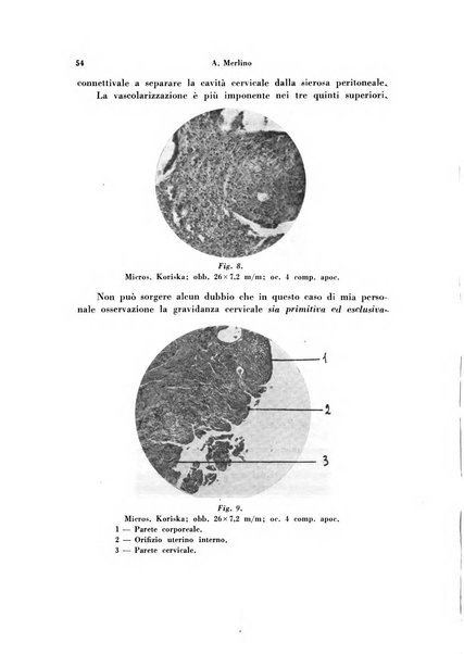 Archivio di ostetricia e ginecologia