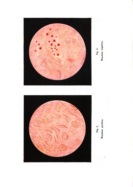 Archivio di ostetricia e ginecologia