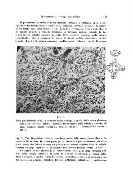 Archivio di ostetricia e ginecologia