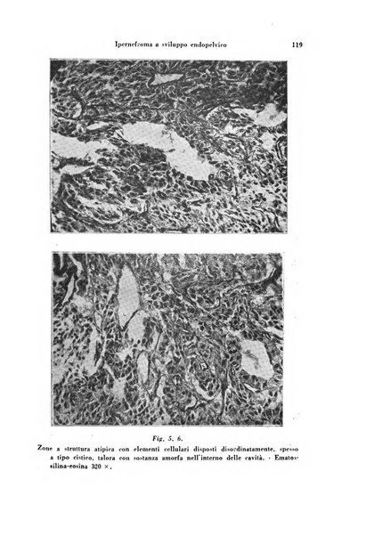 Archivio di ostetricia e ginecologia