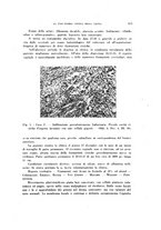 giornale/TO00176850/1943-1945/unico/00000047