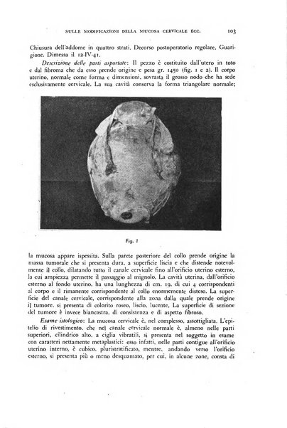 Archivio di ostetricia e ginecologia