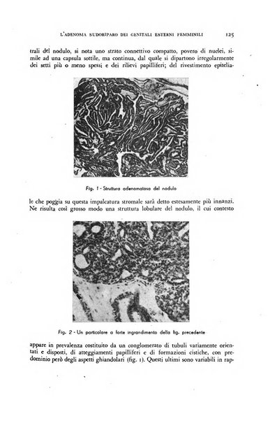 Archivio di ostetricia e ginecologia