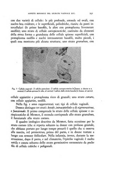 Archivio di ostetricia e ginecologia