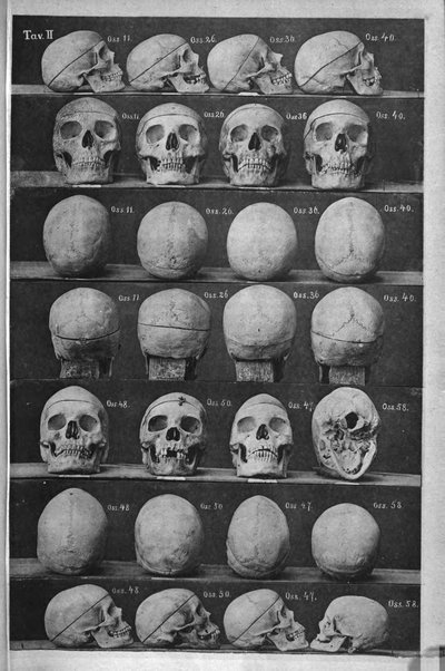 Archivio di psichiatria, scienze penali ed antropologia criminale per servire allo studio dell'uomo alienato e delinquente