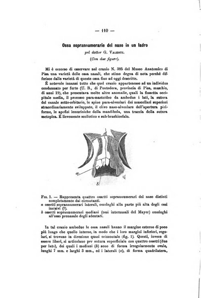 Archivio di psichiatria, scienze penali ed antropologia criminale per servire allo studio dell'uomo alienato e delinquente