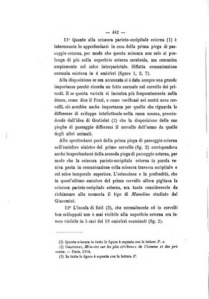 Archivio di psichiatria, scienze penali ed antropologia criminale per servire allo studio dell'uomo alienato e delinquente