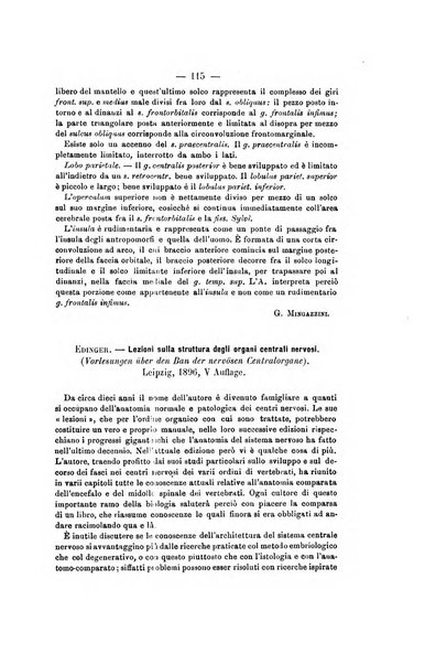 Archivio di psichiatria, scienze penali ed antropologia criminale per servire allo studio dell'uomo alienato e delinquente