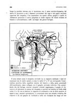 giornale/TO00176854/1945/unico/00000290