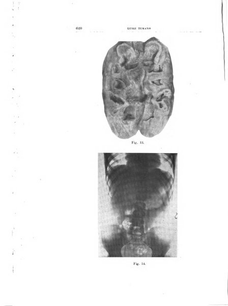 Archivio di radiologia