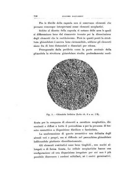 Archivio di radiologia