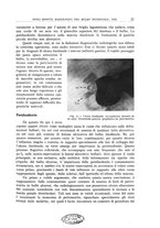 giornale/TO00176855/1935/v.2/00000027