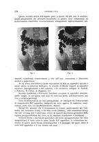 giornale/TO00176855/1935/v.2/00000236