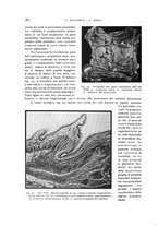 giornale/TO00176855/1935/v.2/00000308