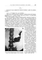 giornale/TO00176855/1936/unico/00000223