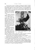 giornale/TO00176855/1936/unico/00000224