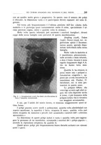 giornale/TO00176855/1936/unico/00000229