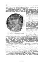 giornale/TO00176855/1936/unico/00000250