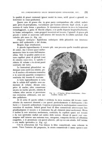 Archivio di radiologia