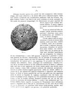 giornale/TO00176855/1936/unico/00000320