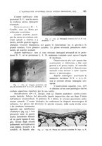 giornale/TO00176855/1937/unico/00000195