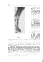 giornale/TO00176855/1939/unico/00000220