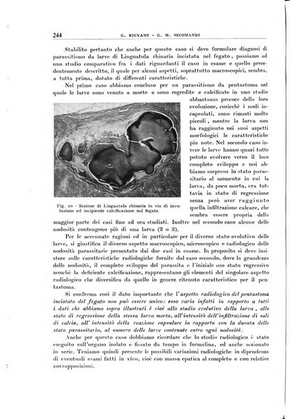 Archivio di radiologia