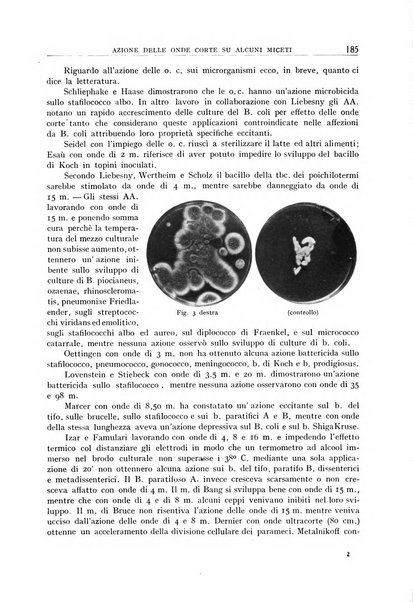 Archivio di radiologia