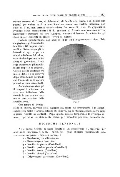 Archivio di radiologia