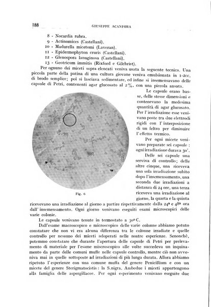 Archivio di radiologia