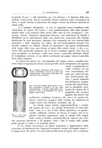 Archivio di radiologia