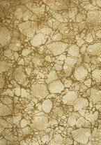 giornale/TO00176857/1921/unico/00000003