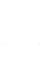 giornale/TO00176857/1921/unico/00000004