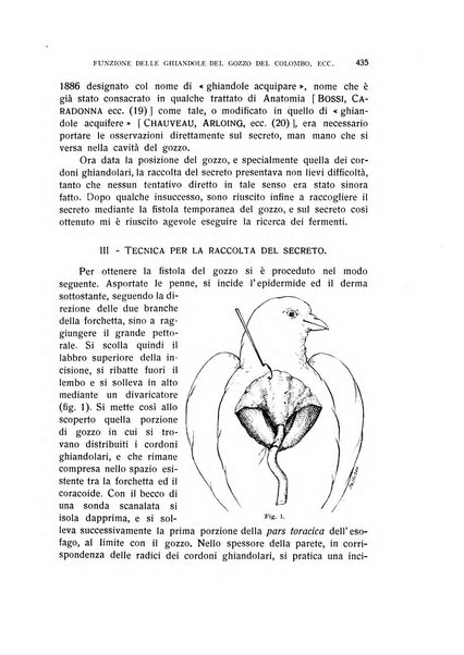 Archivio di scienze biologiche