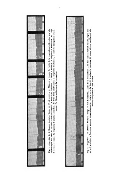 Archivio di scienze biologiche