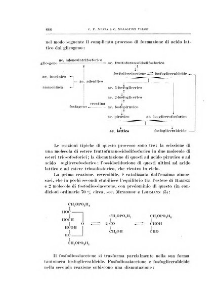 Archivio di scienze biologiche