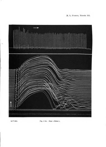 Archivio di scienze biologiche