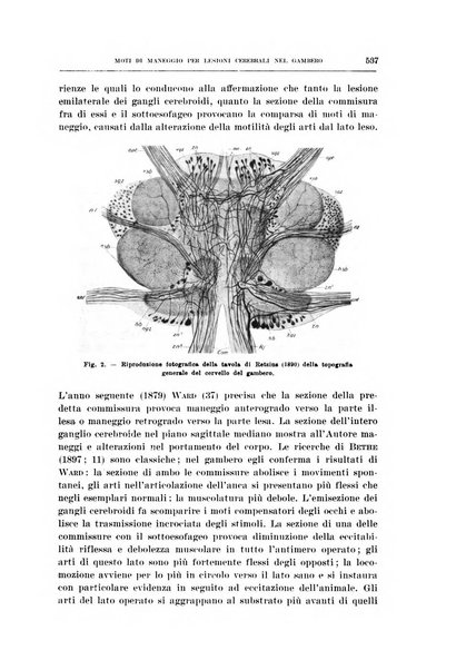 Archivio di scienze biologiche