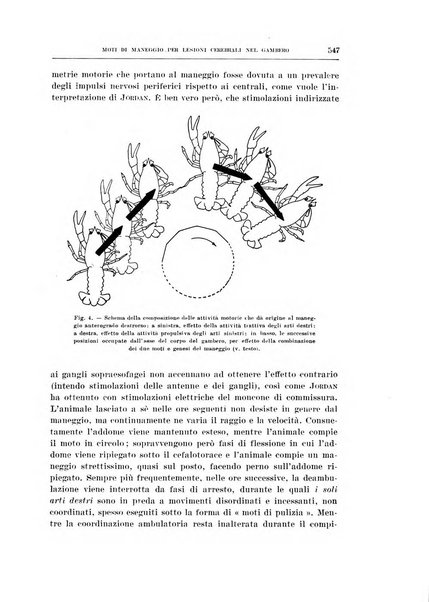 Archivio di scienze biologiche