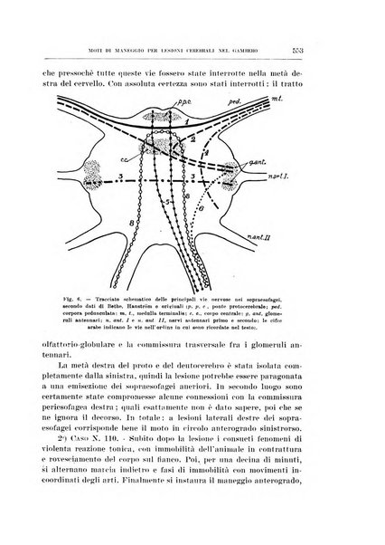 Archivio di scienze biologiche