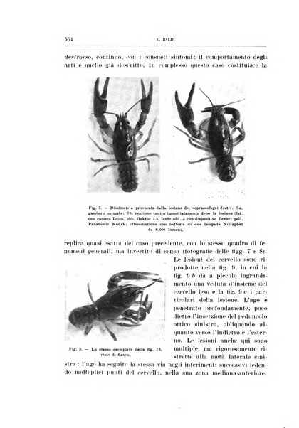 Archivio di scienze biologiche