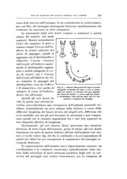 Archivio di scienze biologiche