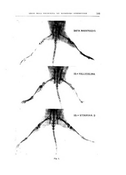 Archivio di scienze biologiche