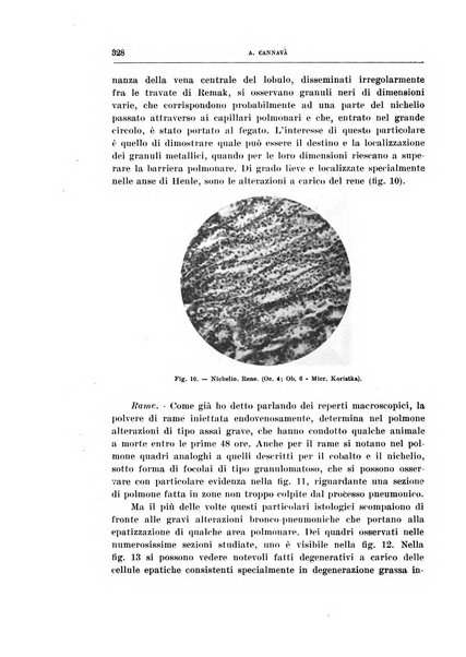 Archivio di scienze biologiche