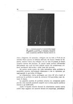 giornale/TO00176857/1941-1943/unico/00000104