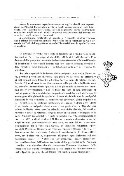 Archivio di scienze biologiche