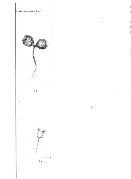 Archivio di scienze biologiche